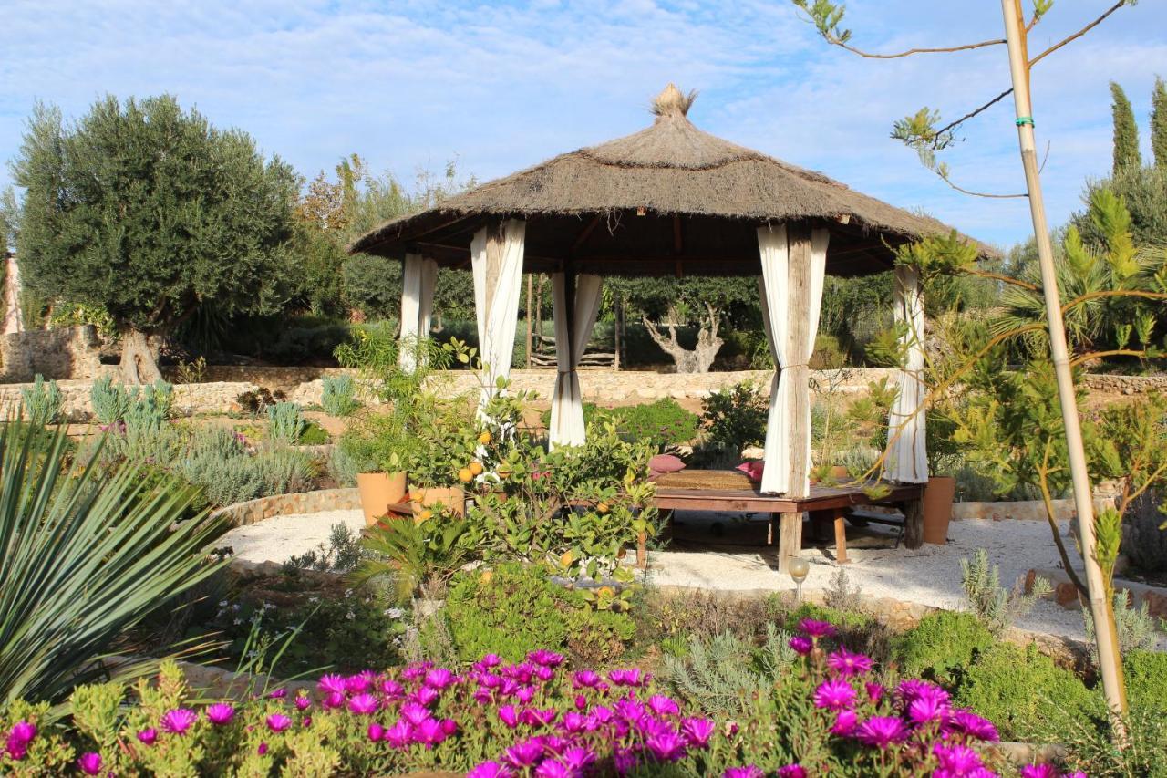 Room In Villa - Beautiful Accommodation At The Heart Of Andalusia Puente Genil Exteriér fotografie