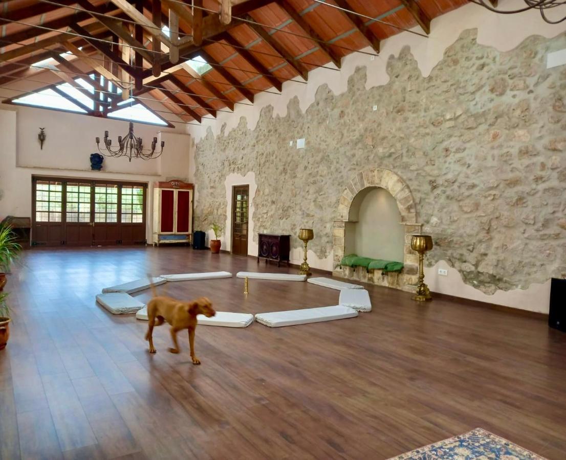Room In Villa - Beautiful Accommodation At The Heart Of Andalusia Puente Genil Exteriér fotografie