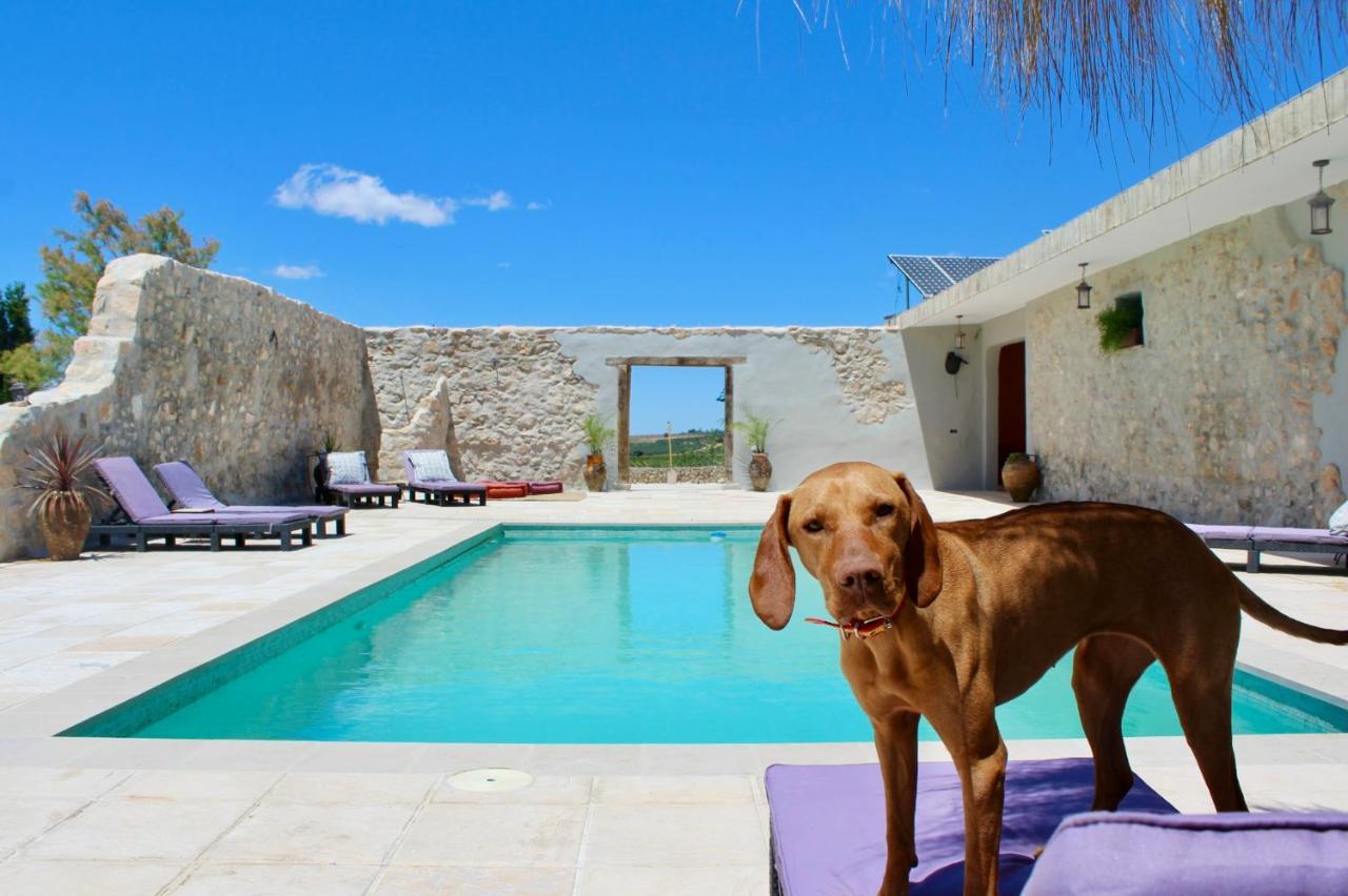 Room In Villa - Beautiful Accommodation At The Heart Of Andalusia Puente Genil Exteriér fotografie